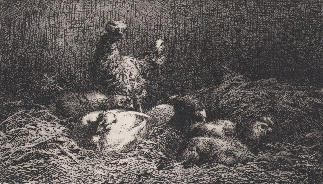 Poules, 1867 de Charles Emile Jacque