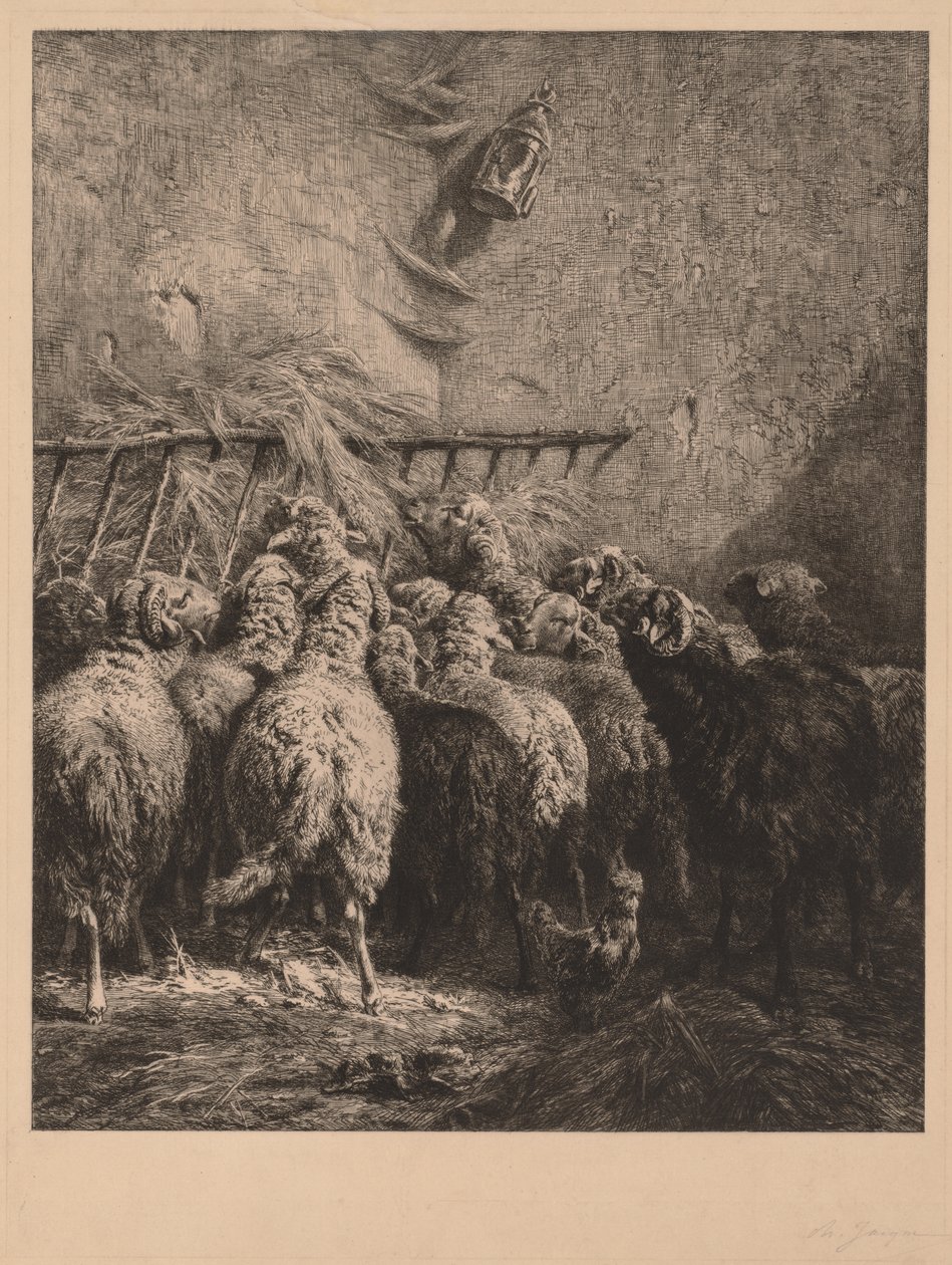 Cercado de Ovejas en Béarn de Charles Emile Jacque