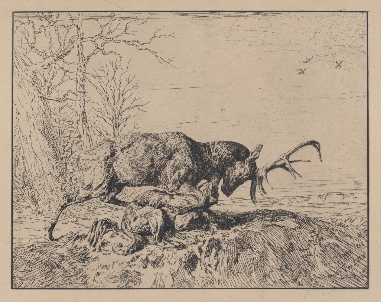 Ciervo luchando con un lobo, después de Antoine Louis Barye, 1846 de Charles Emile Jacque