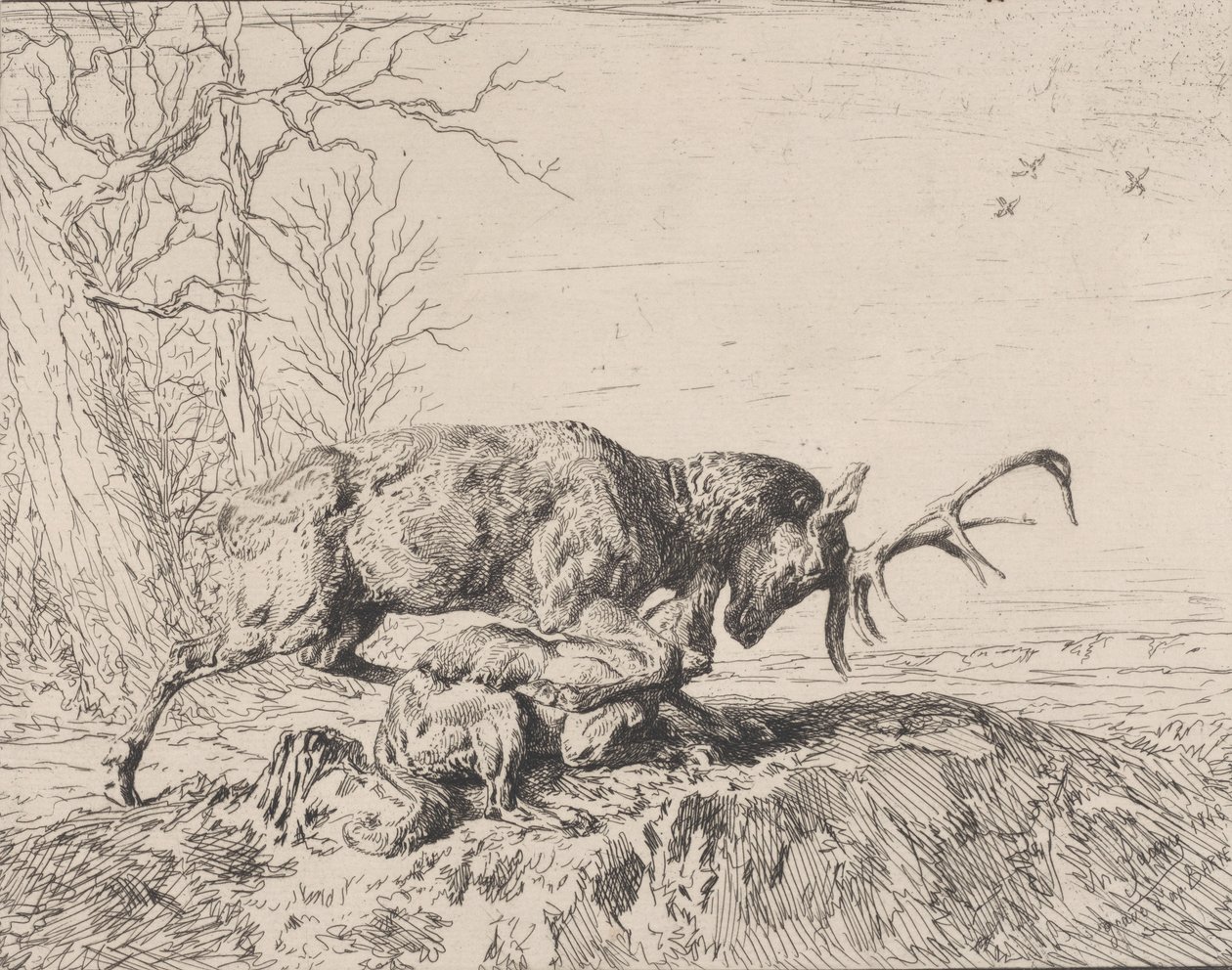 Ciervo Luchando con un Lobo, después de Antoine Louis Barye, 1846 de Charles Emile Jacque