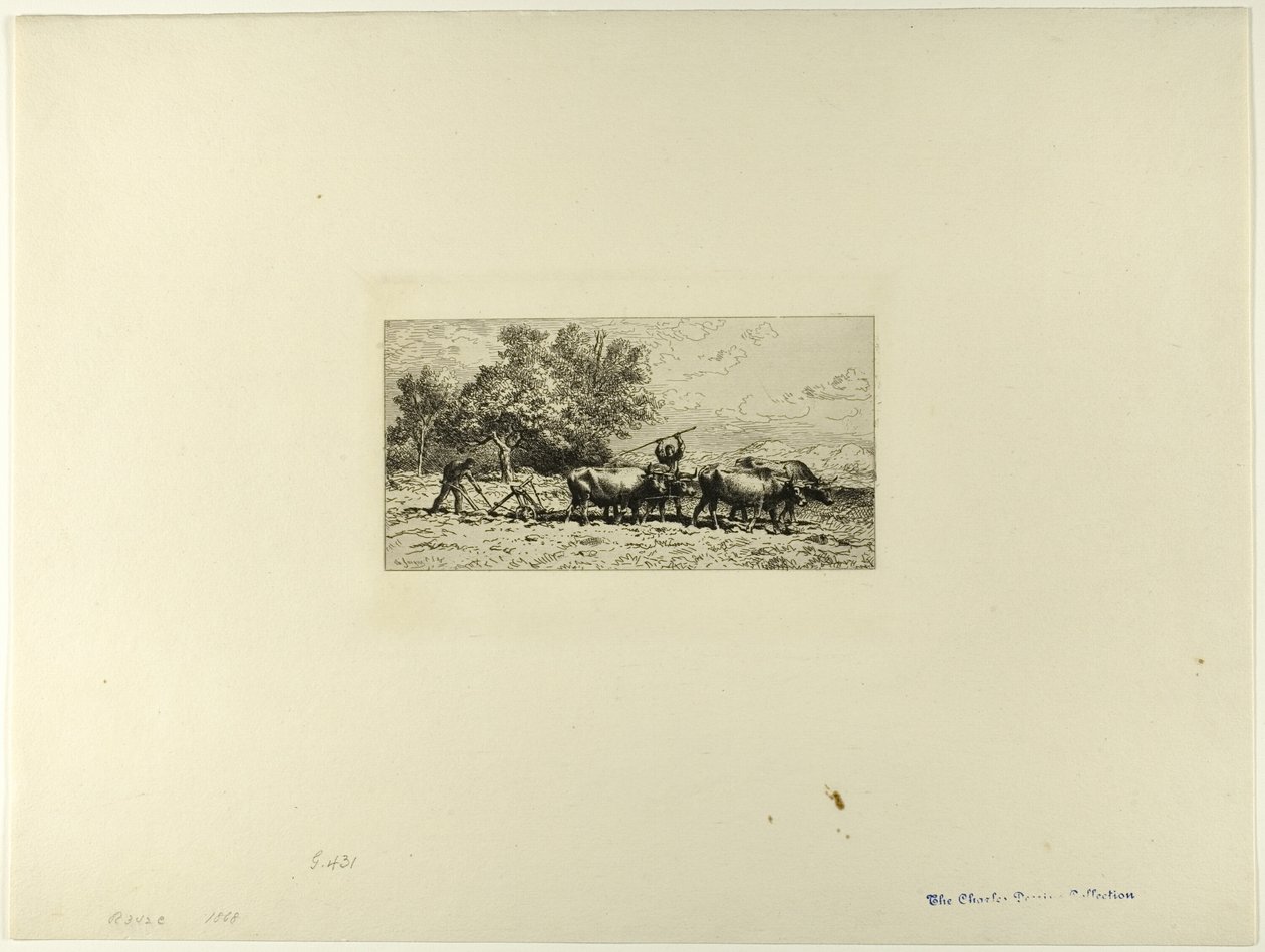 Equipo de bueyes de Charles Emile Jacque
