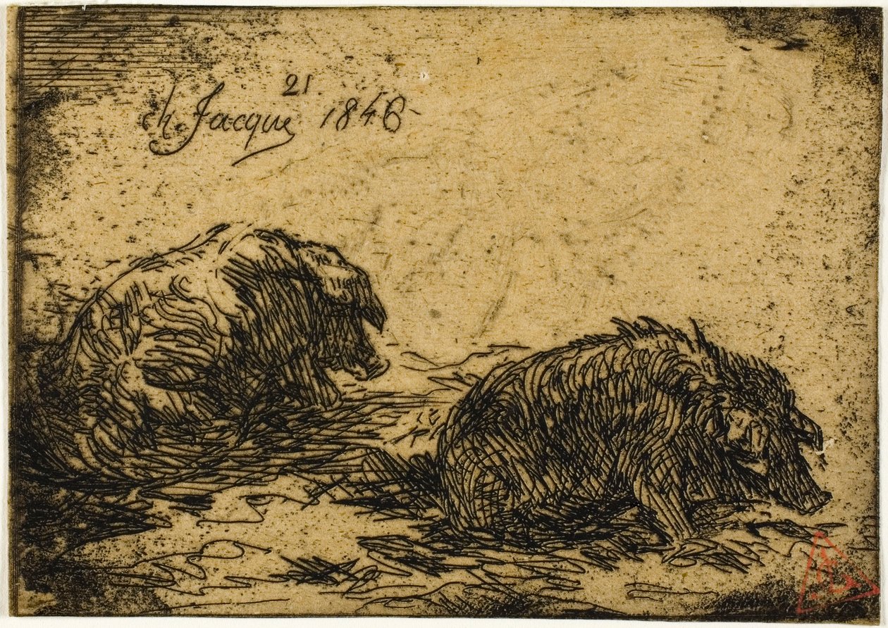 Dos cerdos acostados de Charles Emile Jacque