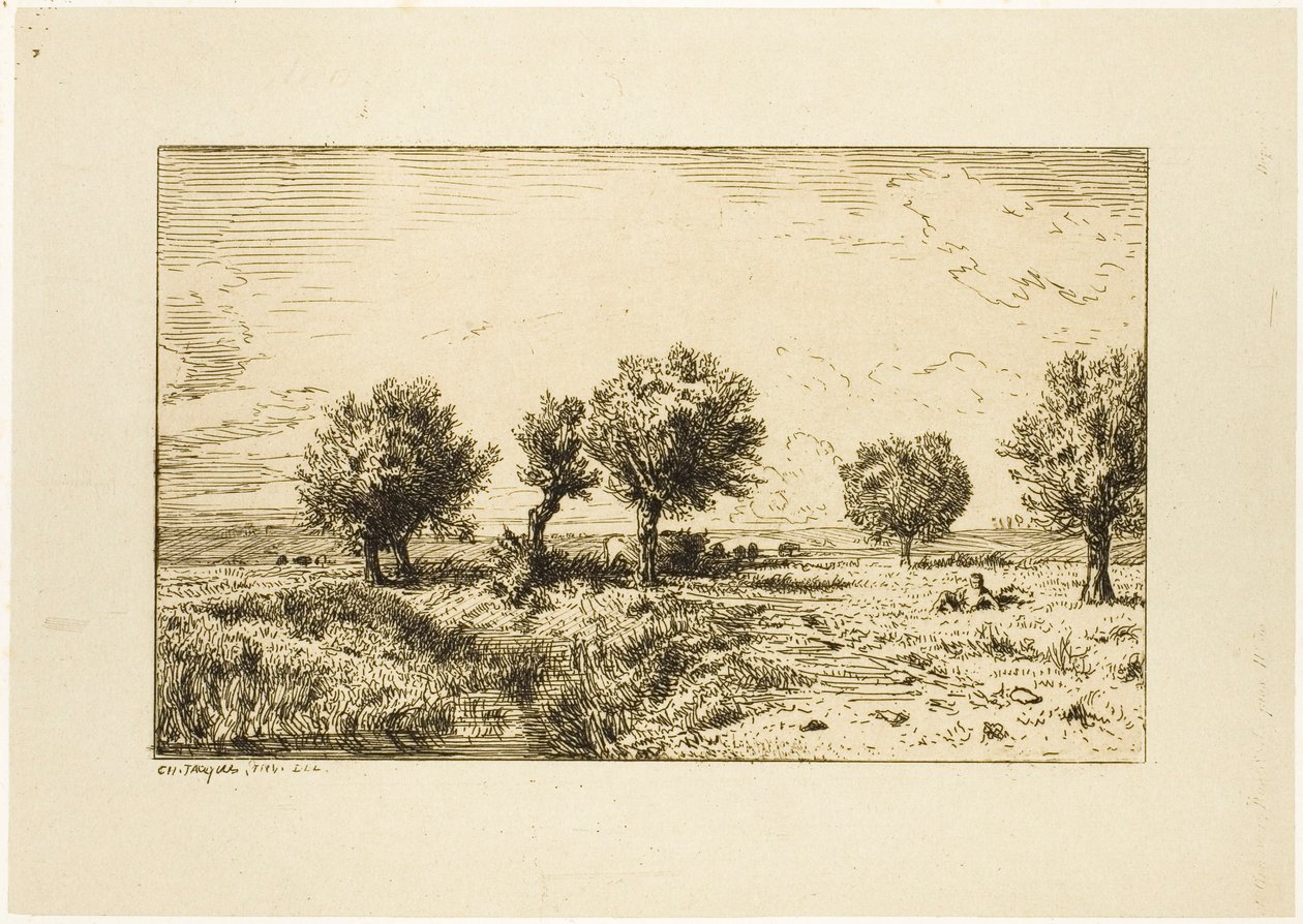 Sauces en un paisaje de Charles Emile Jacque