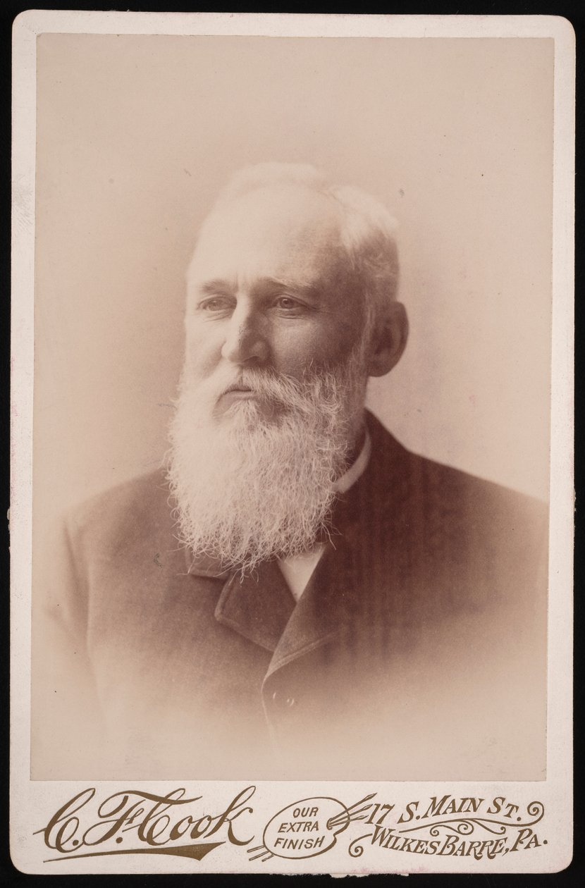 Retrato de Henry Blackman Plumb 1829-1921, antes de 1894 de Charles F Cook