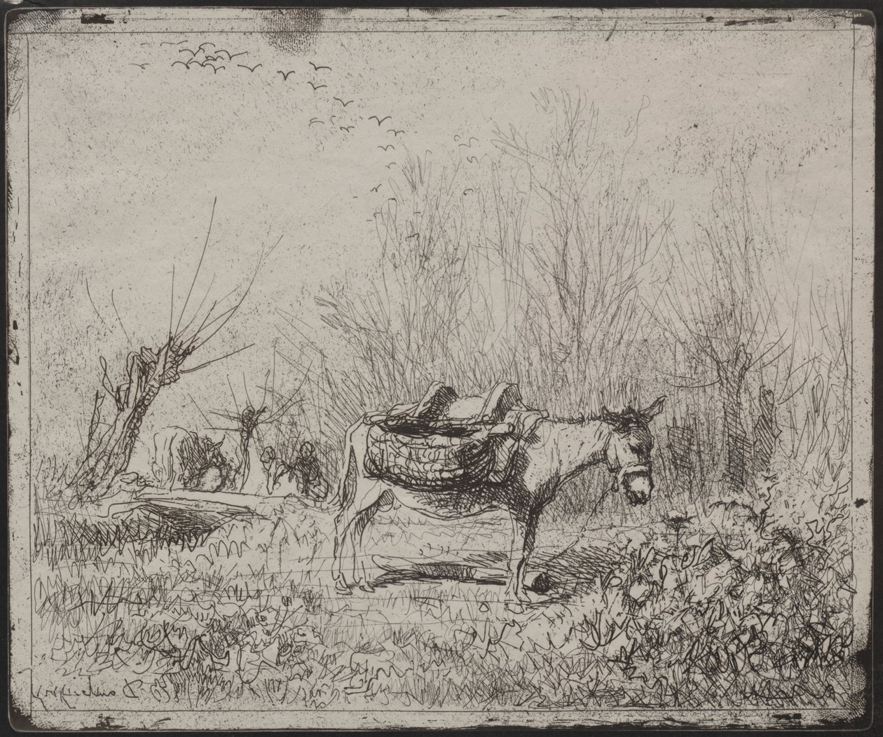 Un burro en el campo, impresión original 1862, impresa en 1921 de Charles Francois Daubigny