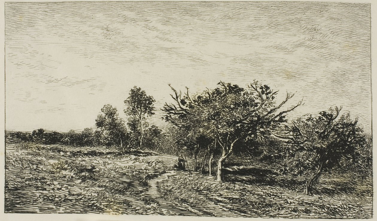 Manzanos en Auvers de Charles Francois Daubigny