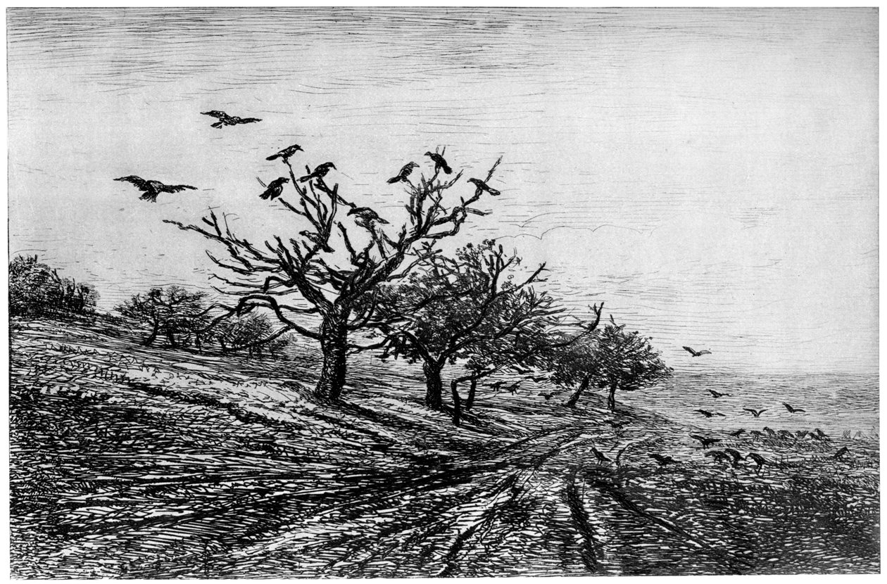 Arbre a Corbeaux, 1840-1875, 1924 de Charles Francois Daubigny
