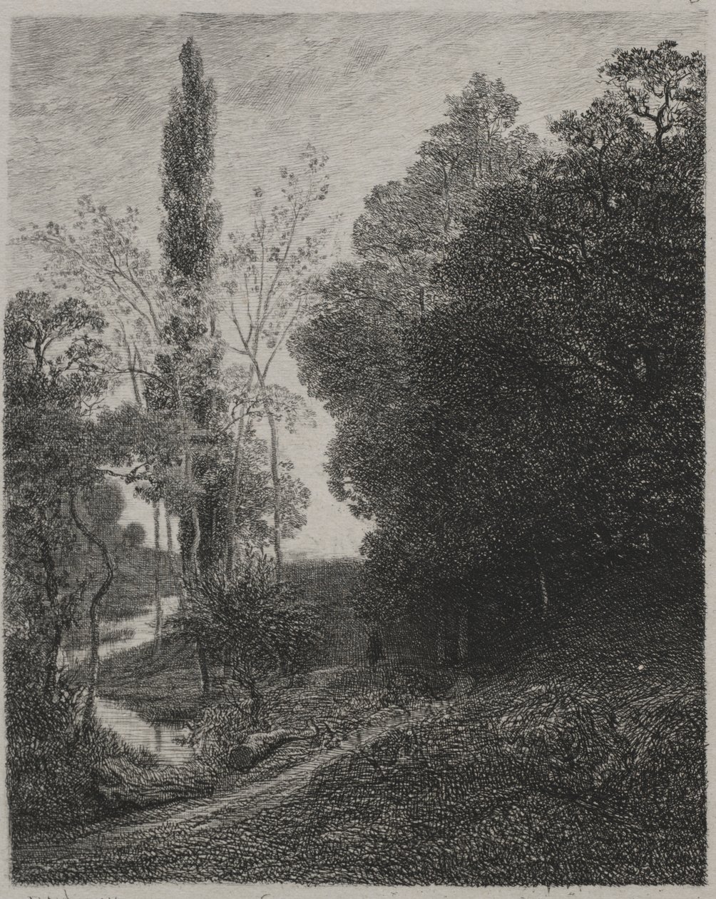 Orillas del río Cousin de Charles Francois Daubigny