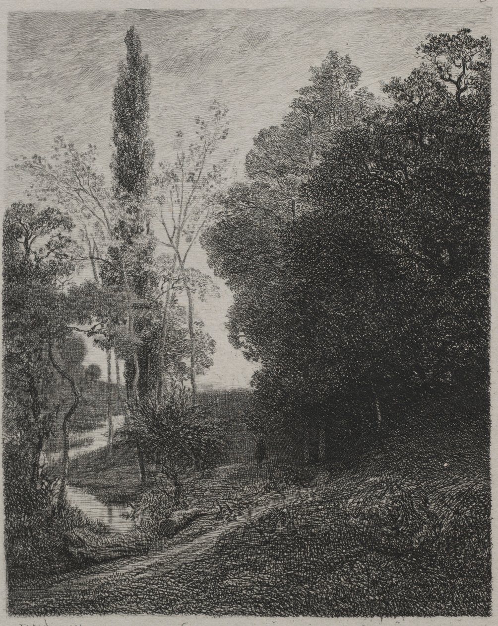 Orillas del río Cousin, 1850 de Charles Francois Daubigny