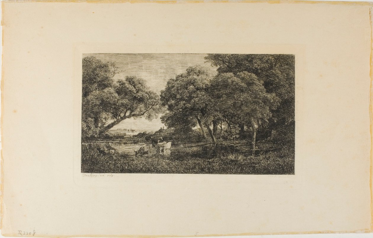 Ganado junto a un estanque de Charles Francois Daubigny