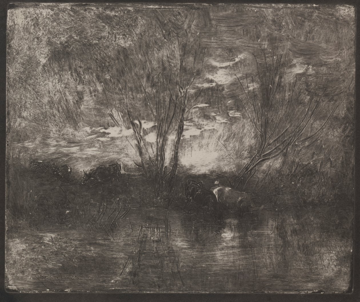Vacas en un abrevadero de Charles Francois Daubigny