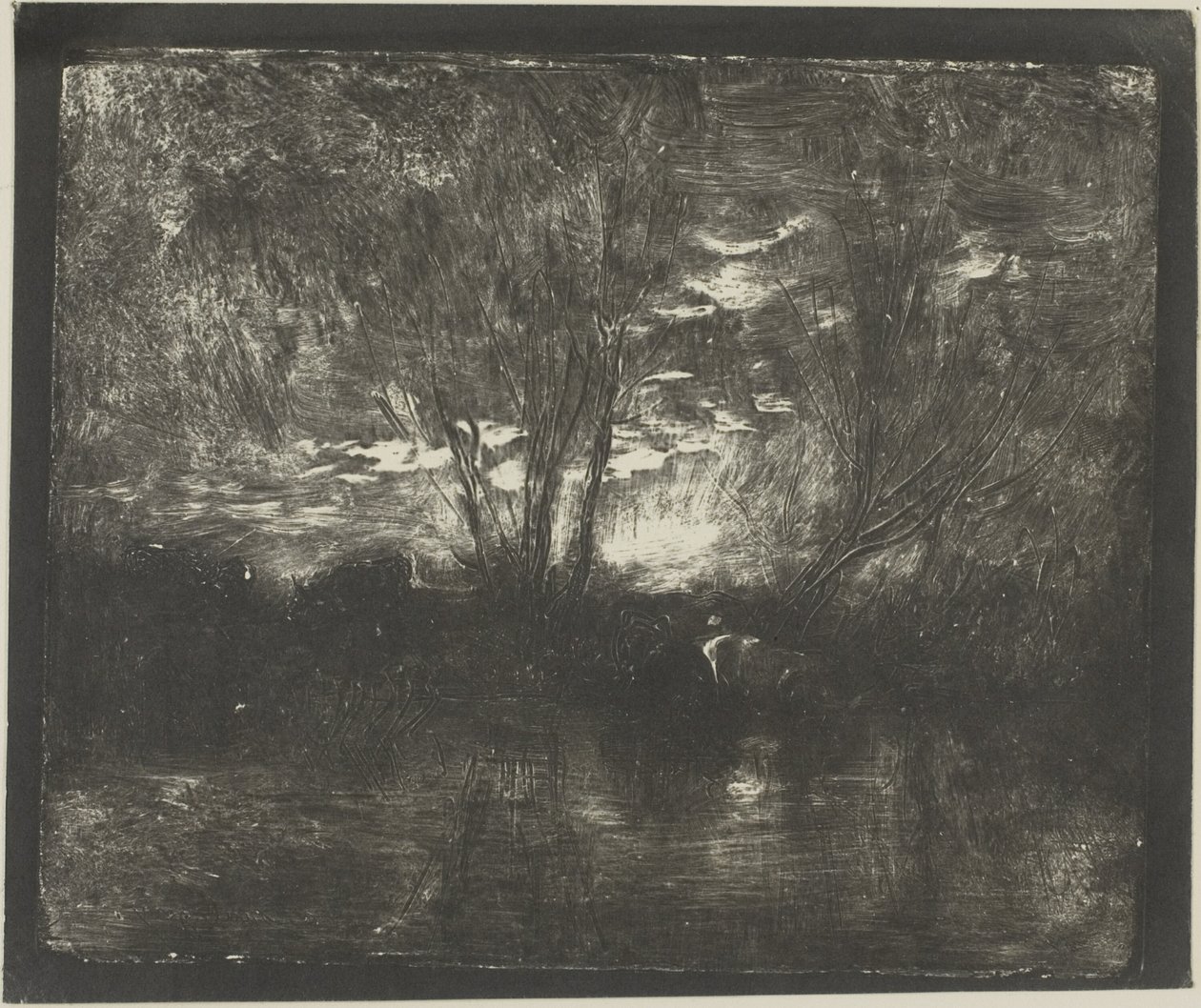Vacas en el abrevadero de Charles Francois Daubigny
