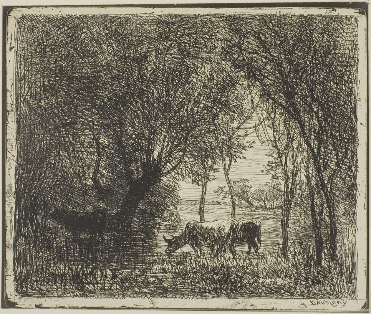 Vacas en un bosque de Charles Francois Daubigny