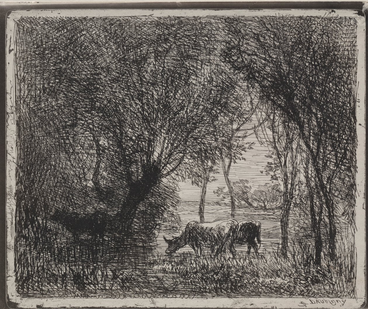 Vacas en el Bosque, impresión original 1862, impresa en 1921 de Charles Francois Daubigny
