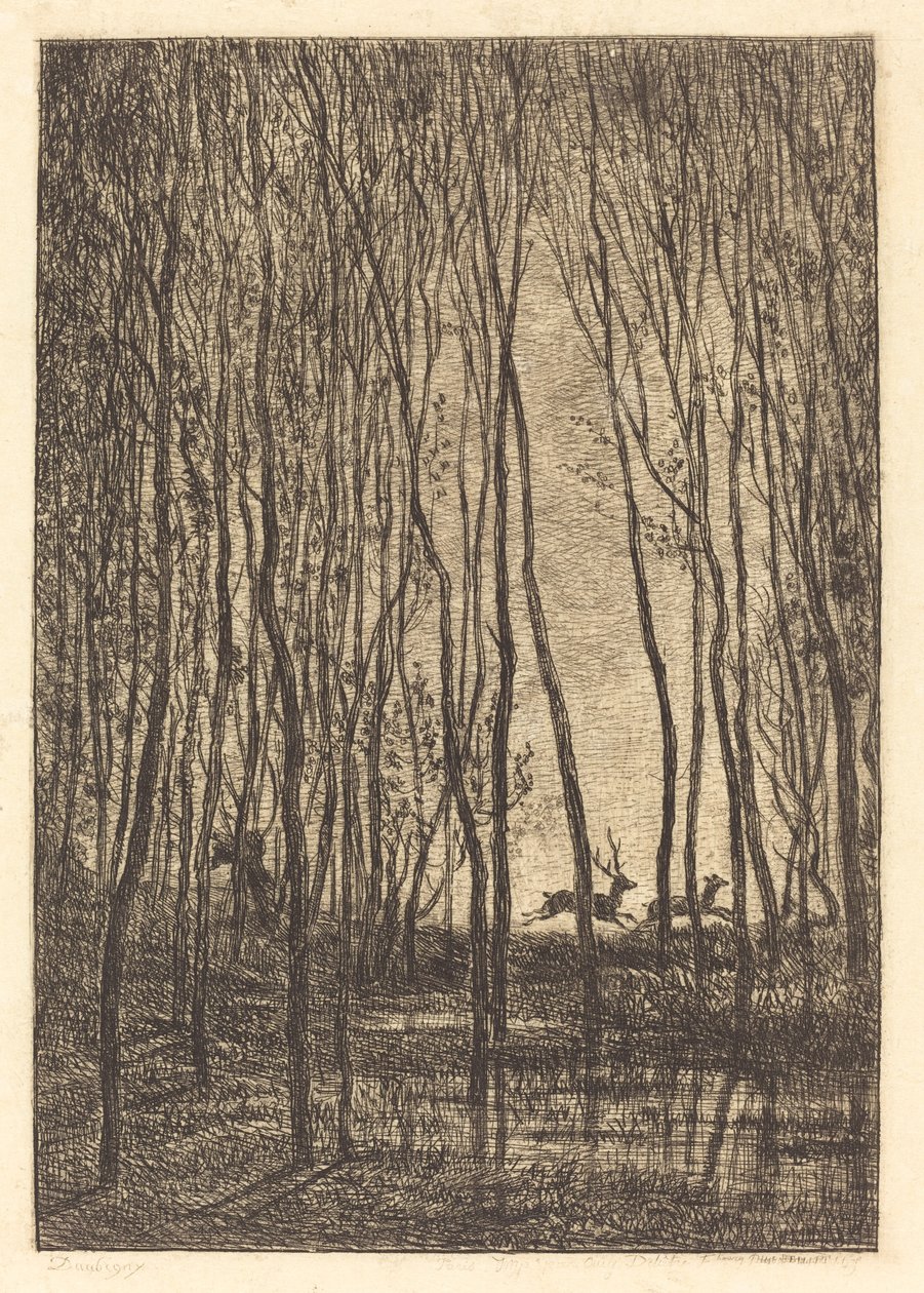 Ciervos en el bosque (Les Cerfs sous bois) de Charles Francois Daubigny