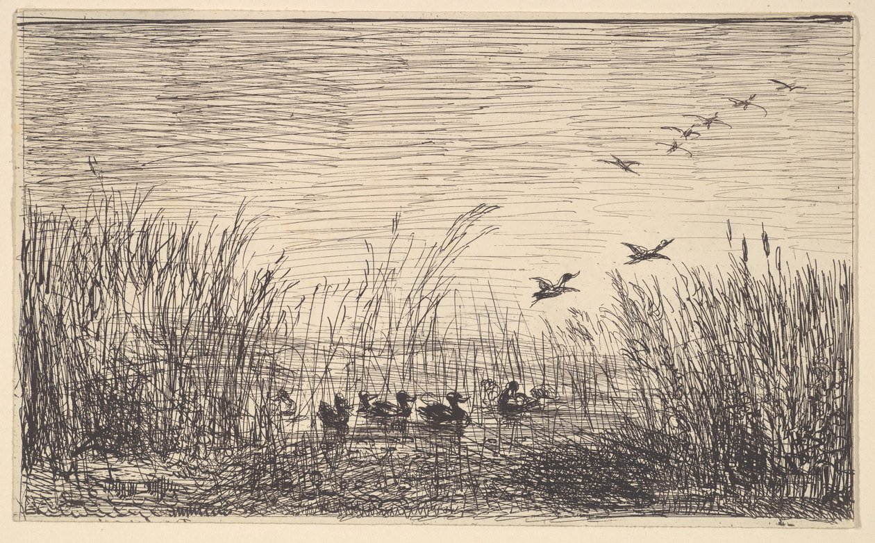 Patos en los pantanos, [1862], reimpreso 1921 de Charles Francois Daubigny