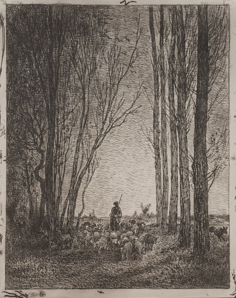 Reuniendo el rebaño de Charles Francois Daubigny