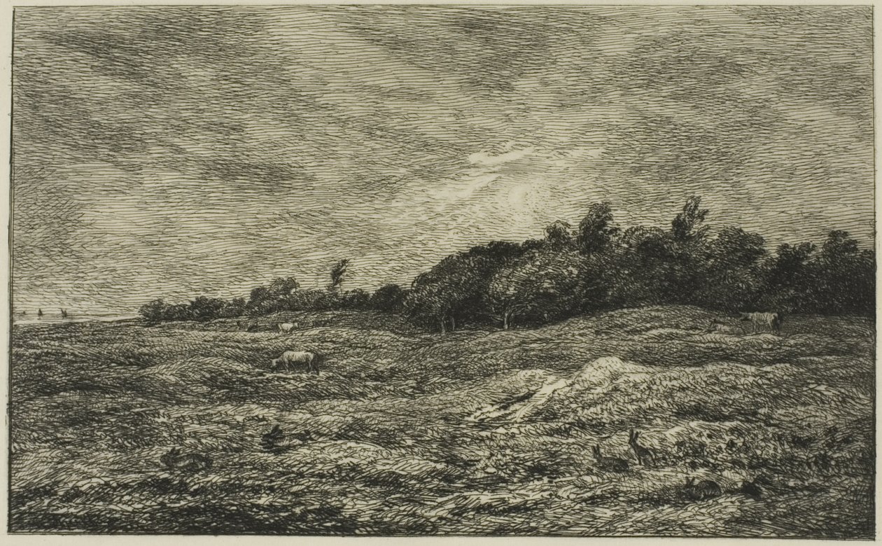 El Pré des Graves en Villerville (Calvados) de Charles Francois Daubigny