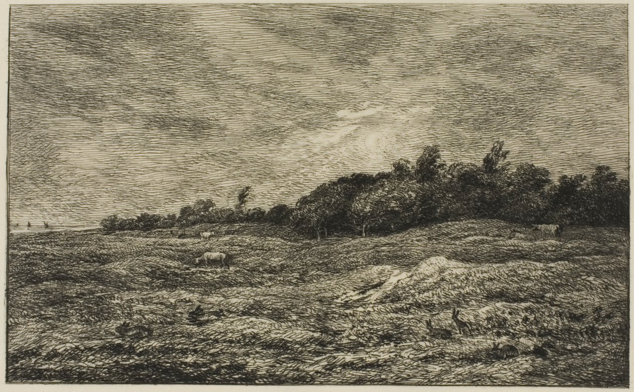 El Pré des Graves en Villerville (Calvados) de Charles Francois Daubigny