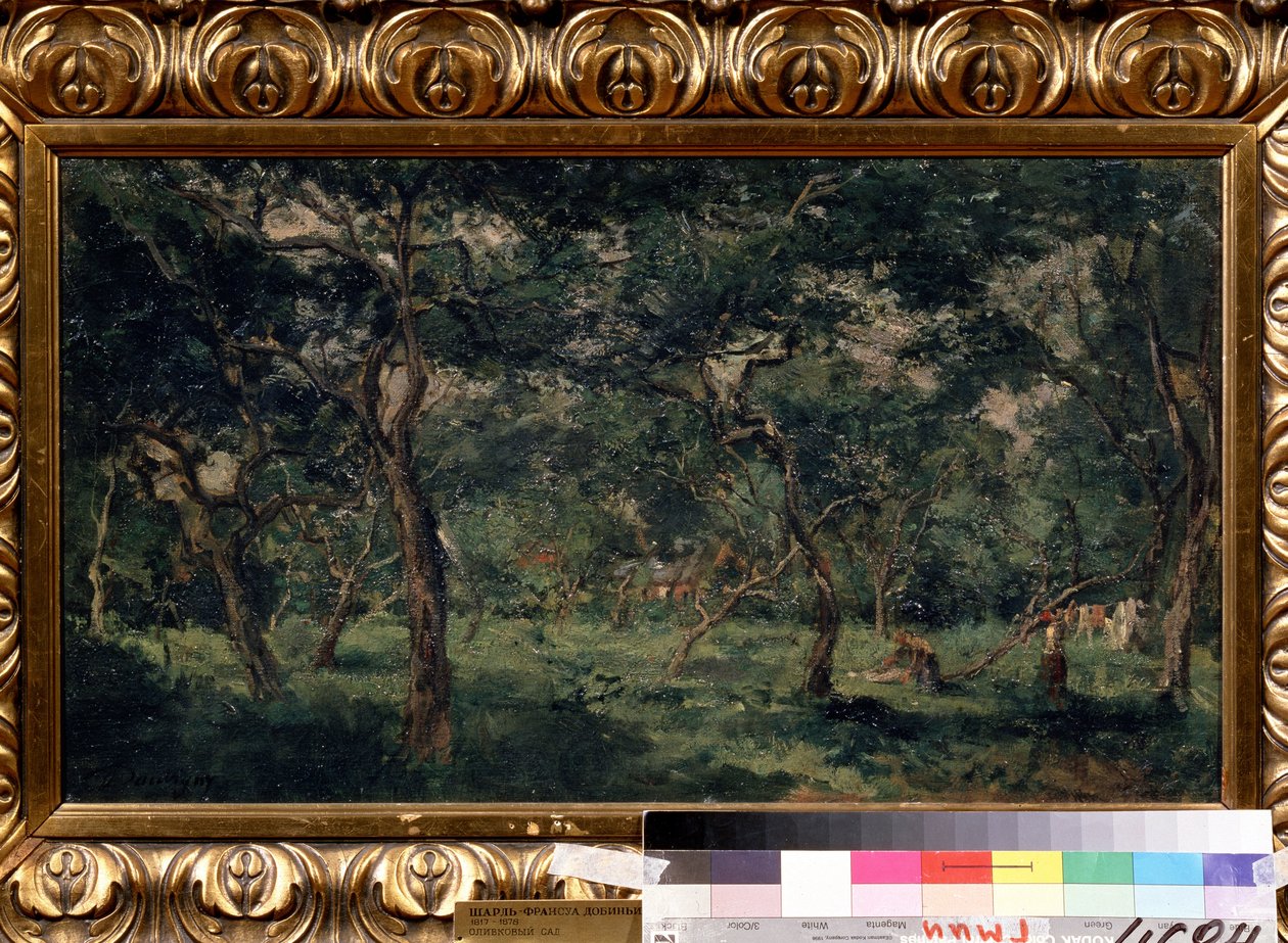 ""El olivar"" (Huerto de olivos) Pintura de Charles Francois Daubigny (1817-1878) 1870-1873 Museo Pushkin, Moscú de Charles Francois Daubigny