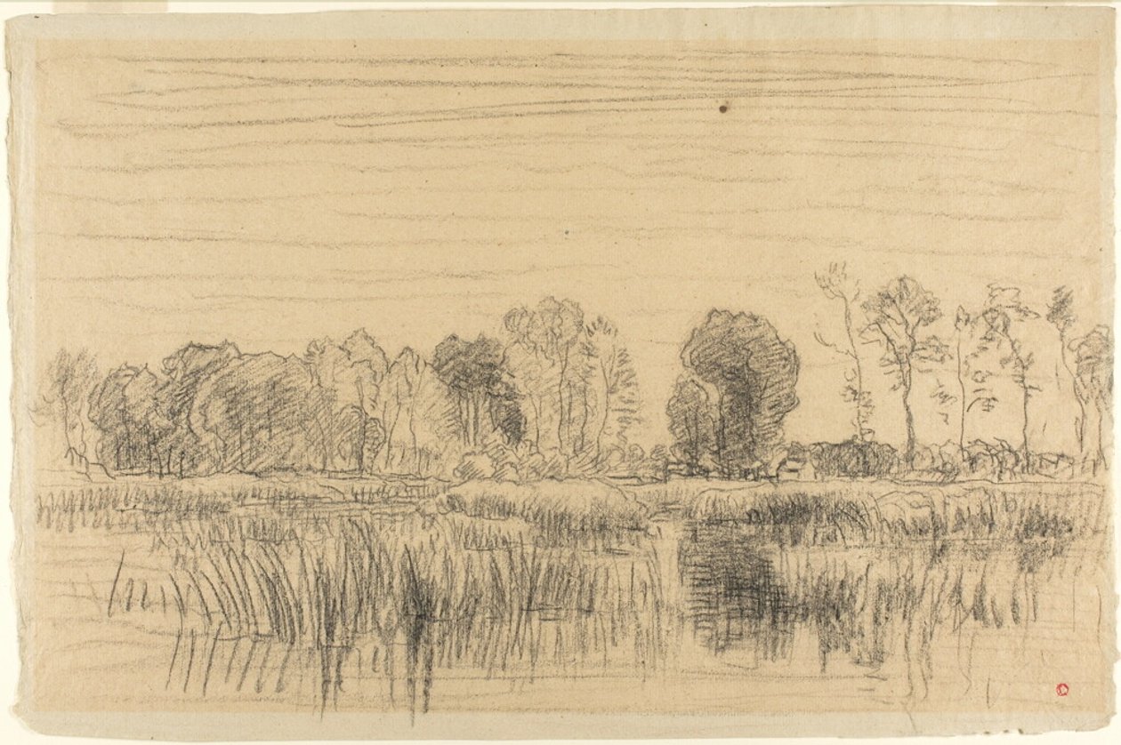 Pantano y pantalla de árboles de Charles Francois Daubigny