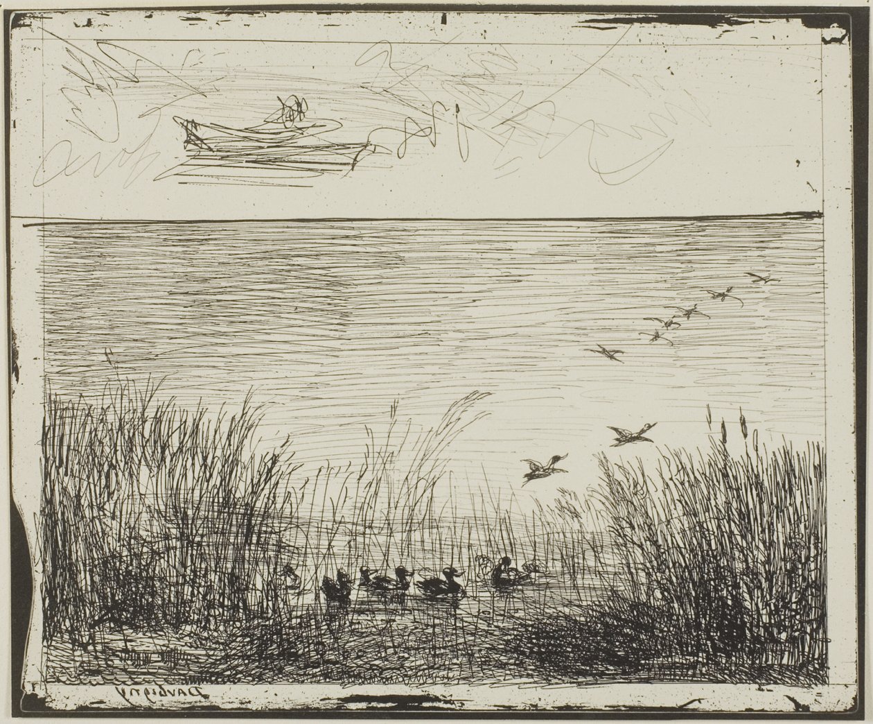 Pantano con patos de Charles Francois Daubigny