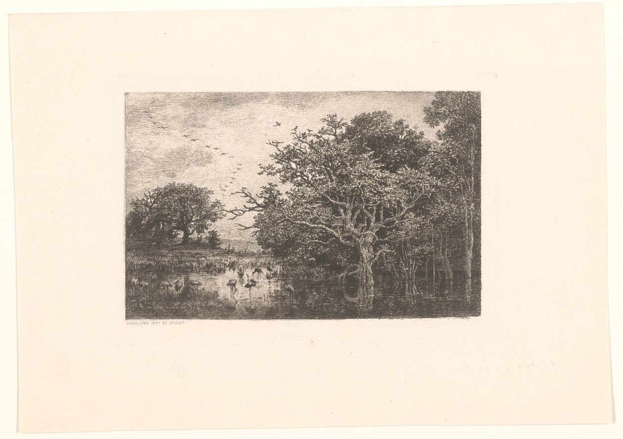 Moeras conoció a ooievaars El pantano de las cigüeñas de Charles Francois Daubigny