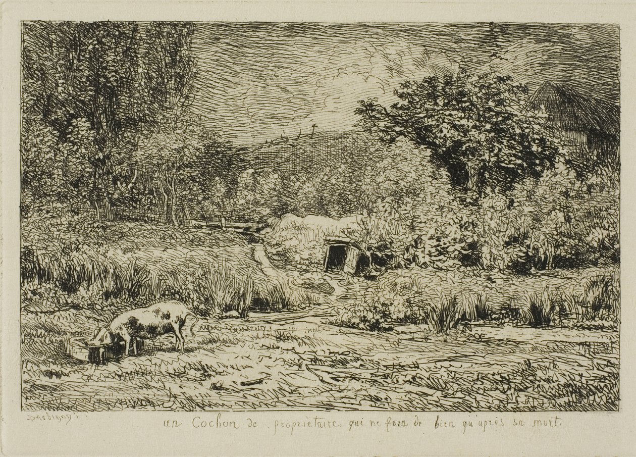 Cerdo en un huerto de Charles Francois Daubigny