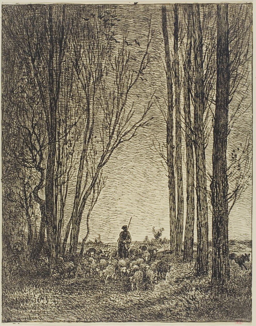 El regreso del rebaño de Charles Francois Daubigny