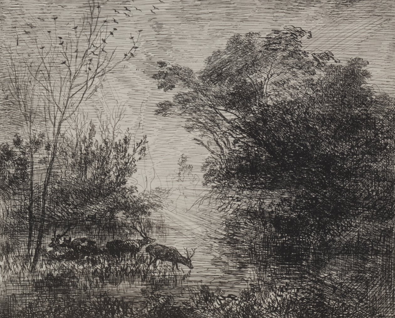 Ciervos de Charles Francois Daubigny