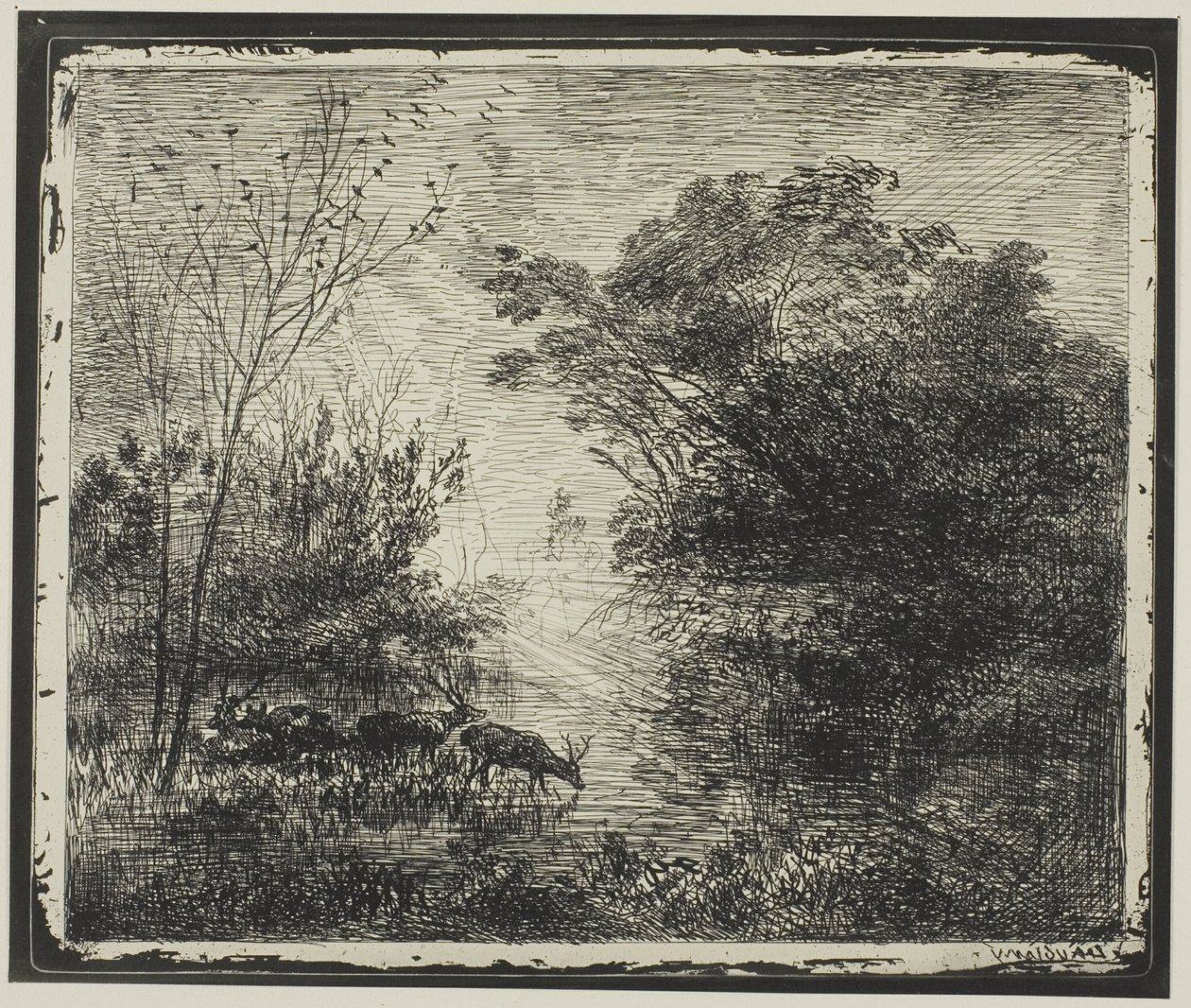 Ciervos de Charles Francois Daubigny