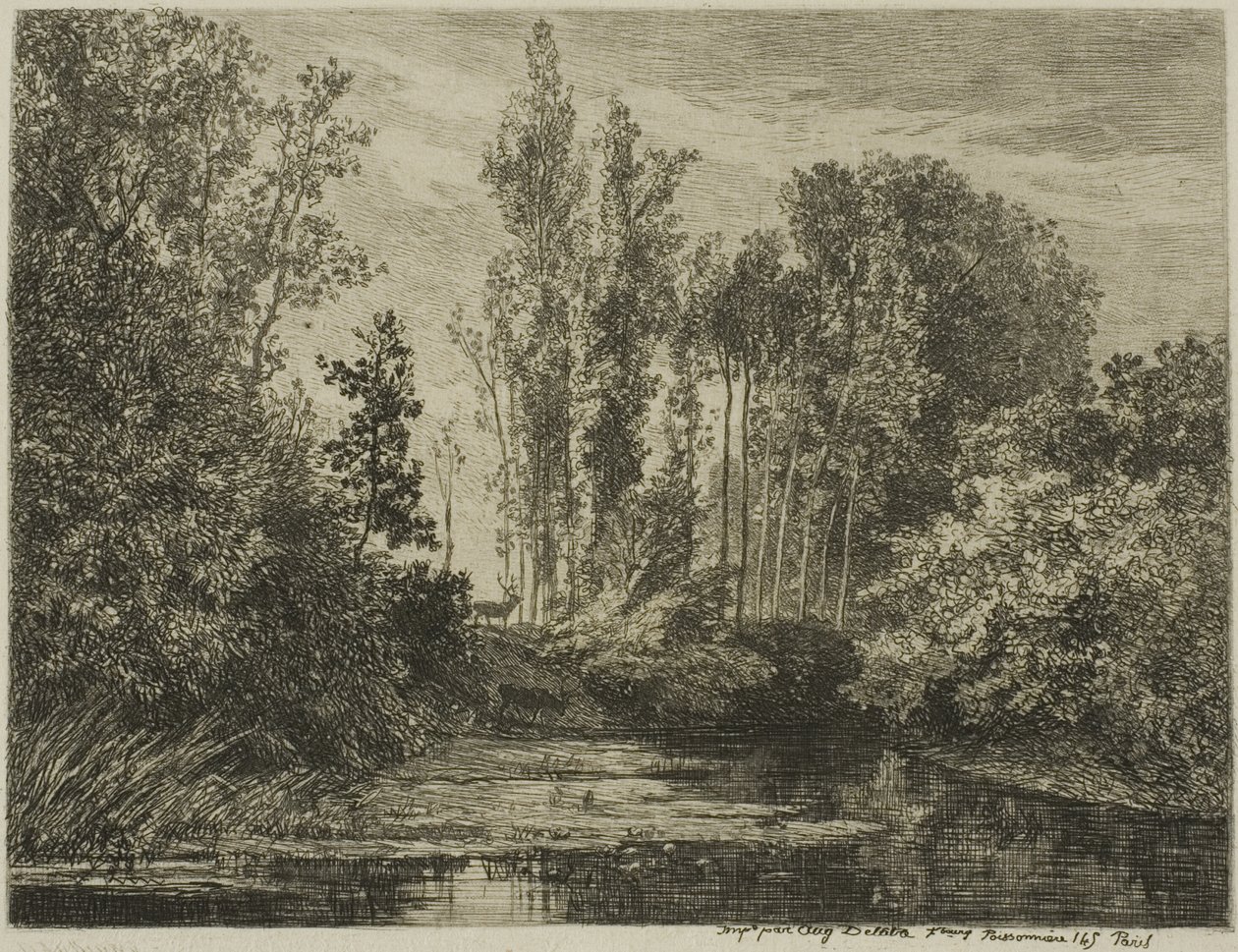 Ciervos al borde del agua de Charles Francois Daubigny