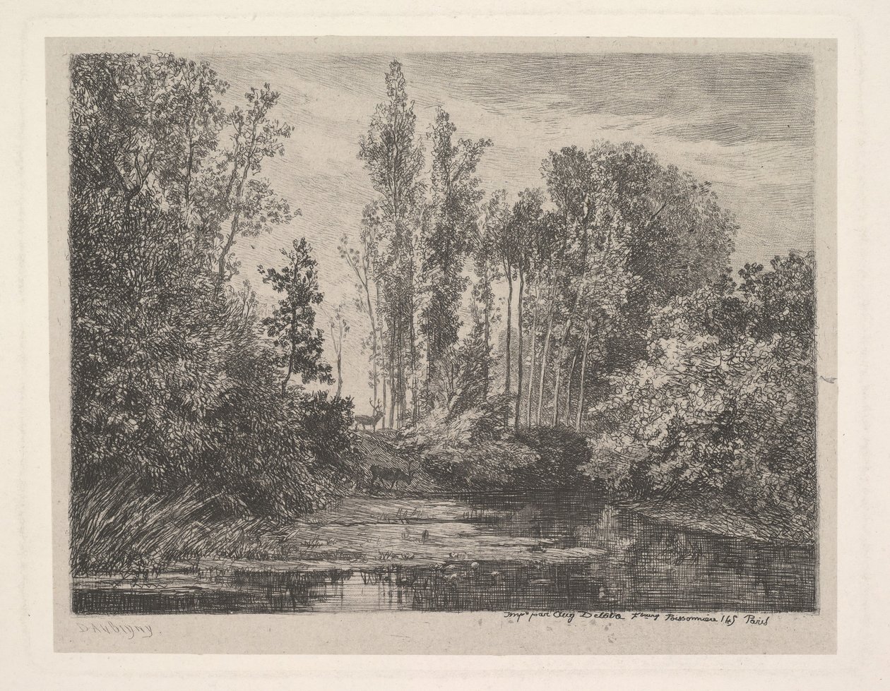 Ciervos en el borde del agua de Charles Francois Daubigny
