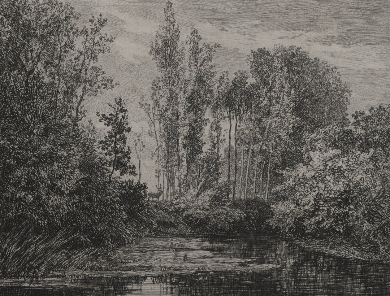 Ciervos en el borde del agua de Charles Francois Daubigny