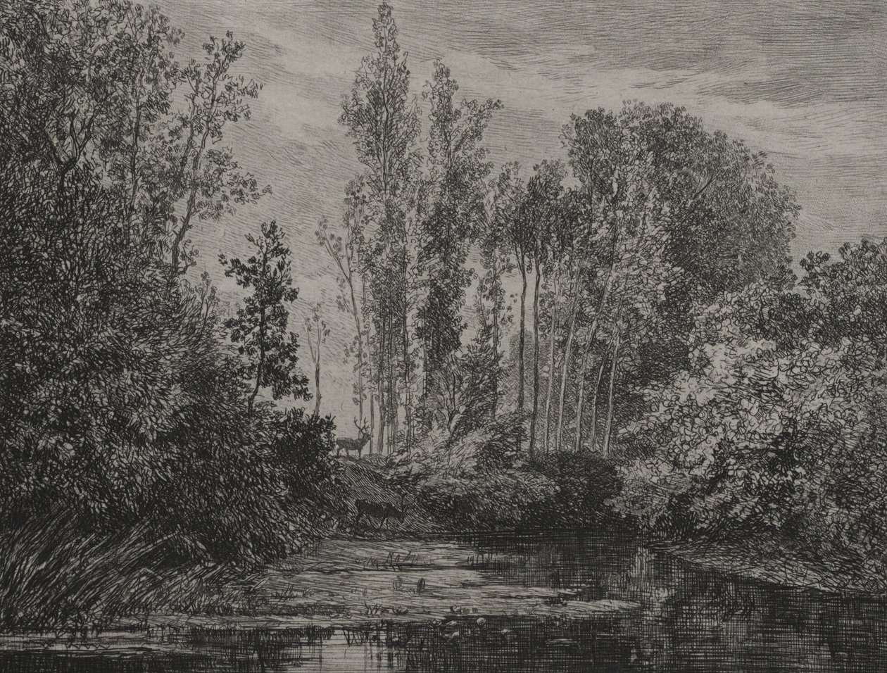 Ciervos en el borde del agua de Charles Francois Daubigny