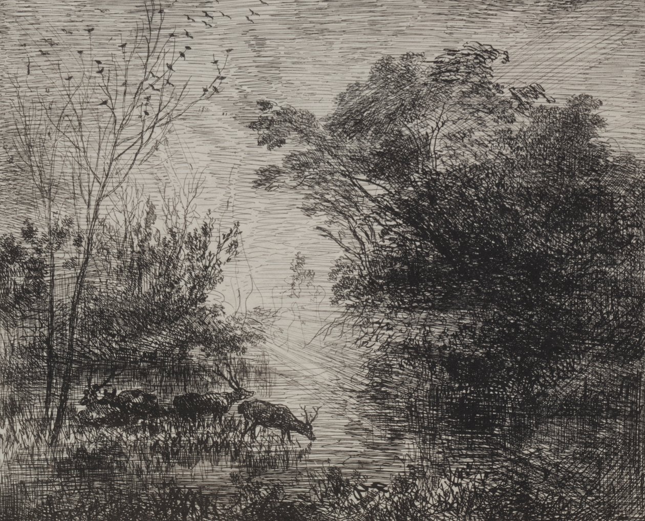 Ciervos, impresión original 1862, impreso en 1921 de Charles Francois Daubigny