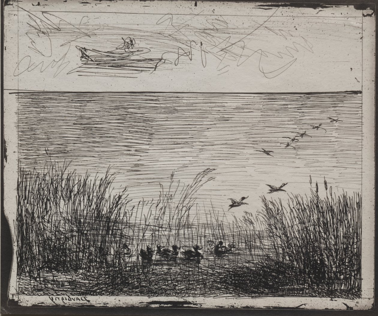 Pantano con patos de Charles Francois Daubigny