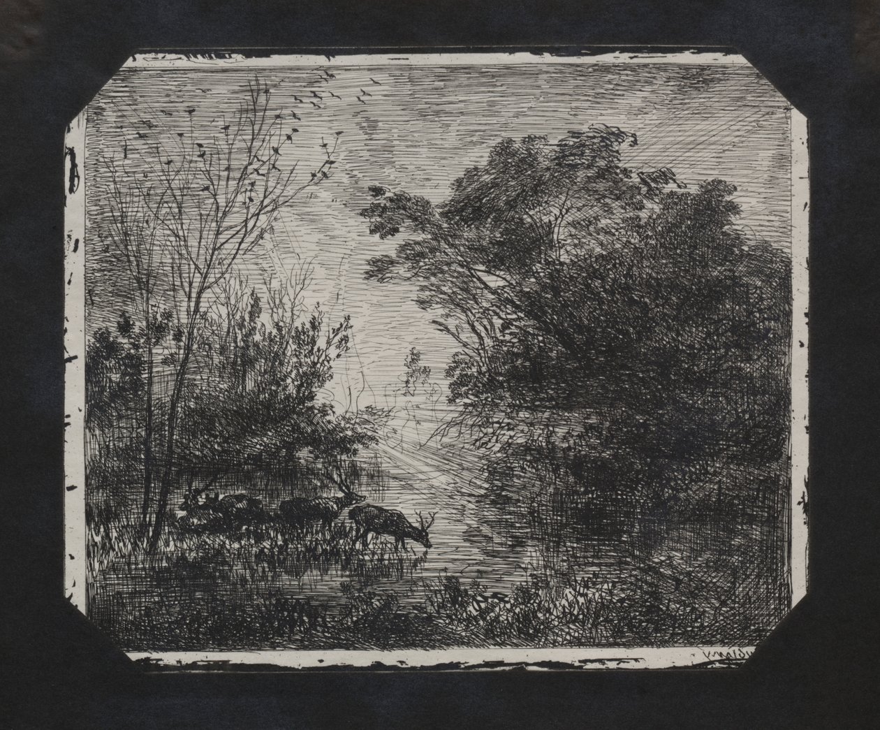 El ciervo de Charles Francois Daubigny