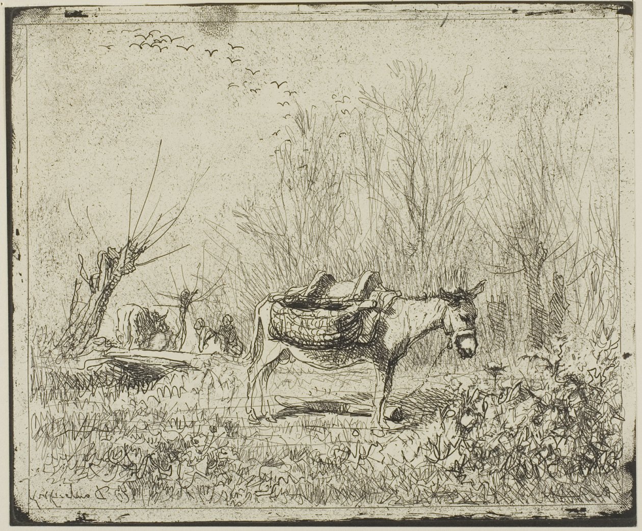 El burro en el prado de Charles Francois Daubigny