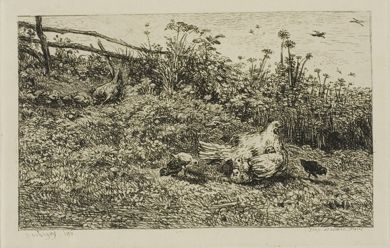 La gallina y sus pollitos de Charles Francois Daubigny