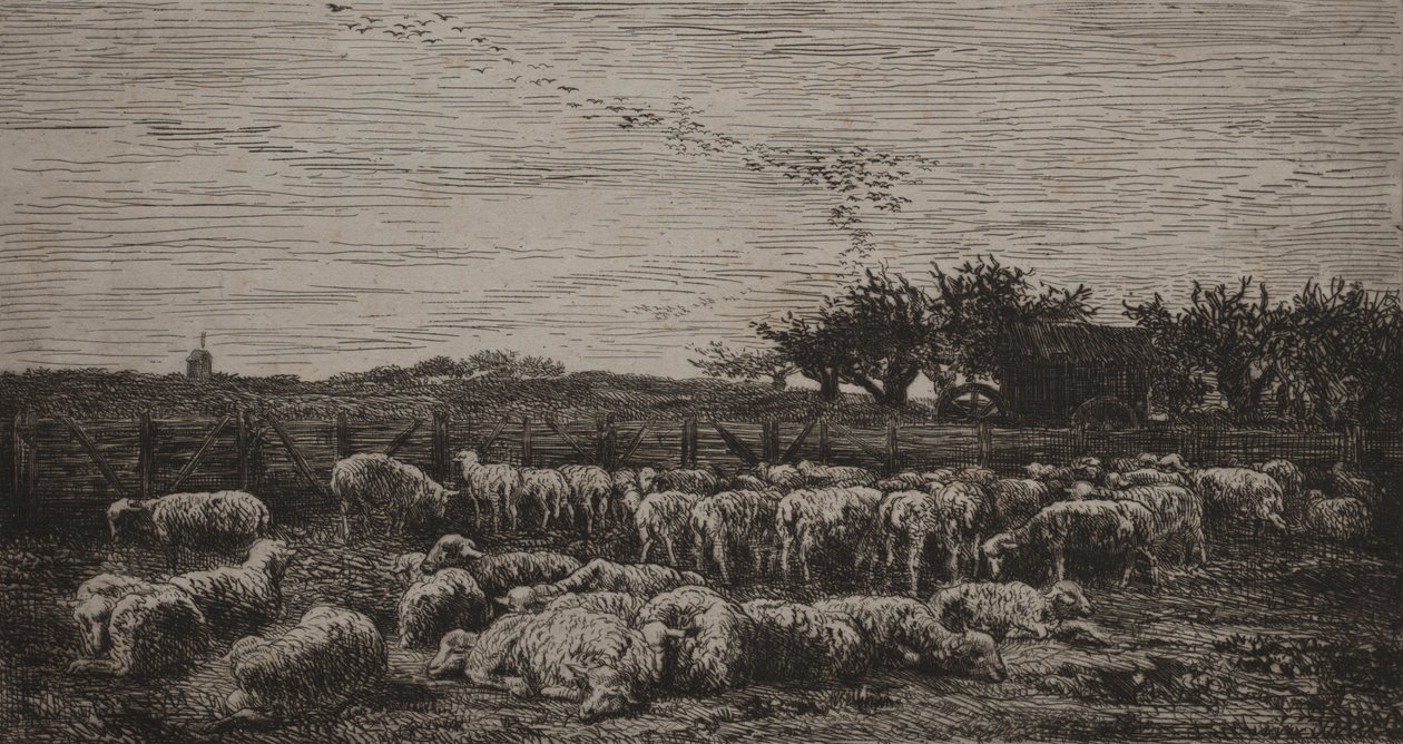El gran redil de ovejas, 1860 de Charles Francois Daubigny