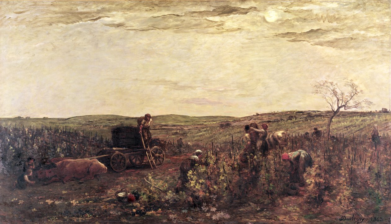 La vendimia en Borgoña, 1863 de Charles Francois Daubigny