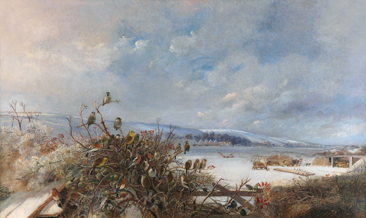 Pájaros de una pluma de Charles Henry Clifford Baldwyn