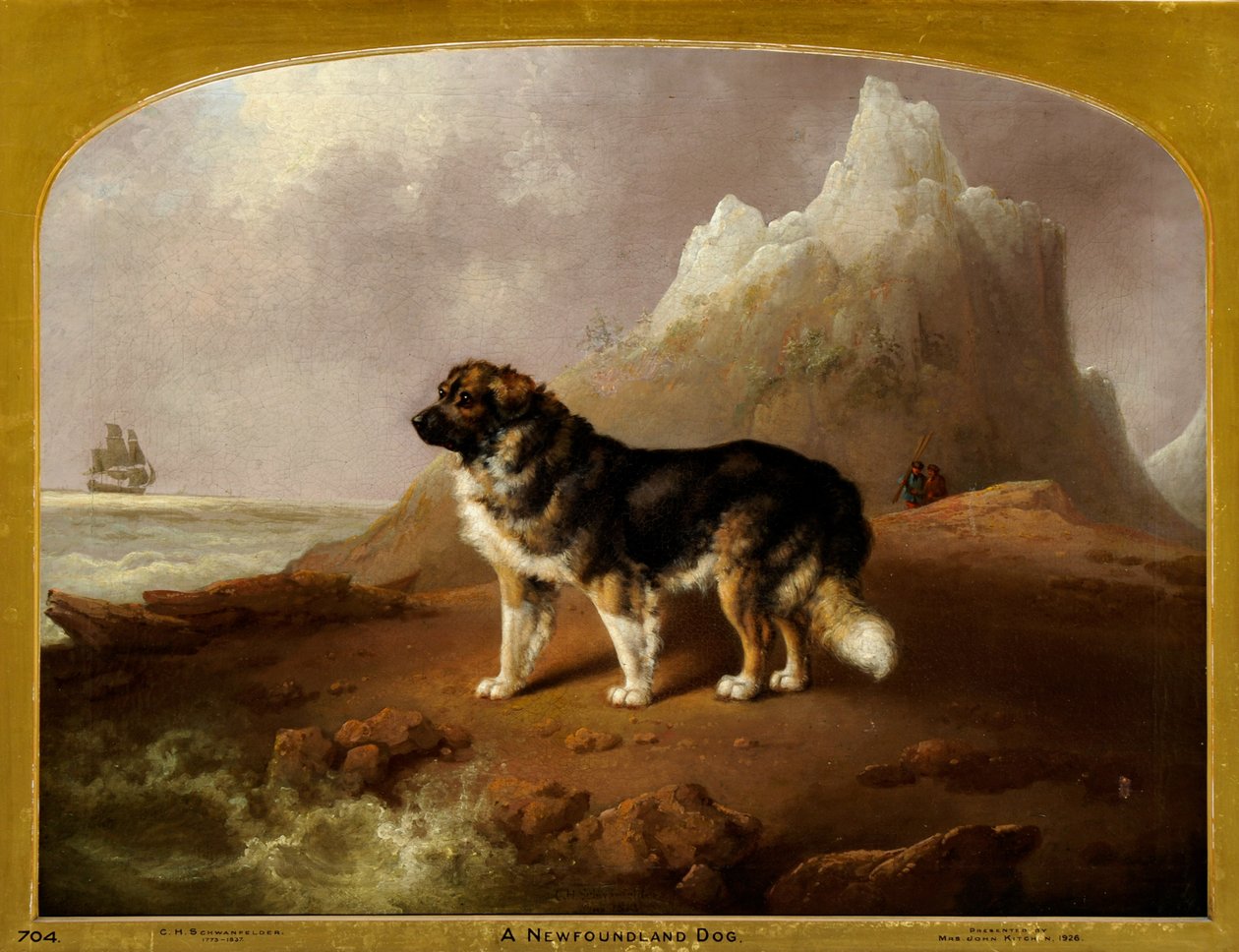 Un perro de Terranova de Charles Henry Schwanfelder