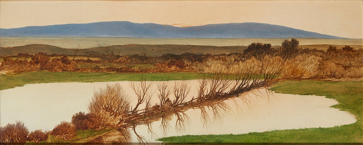 Atardecer sobre un estanque de Charles Hutton Lear