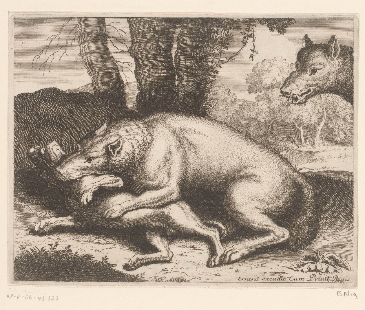 Perro atacado por un lobo Serie de animales (título de la serie) de Charles II Errard (attributed to)