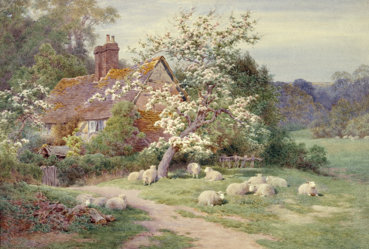 Ovejas fuera de una cabaña en primavera de Charles James Adams