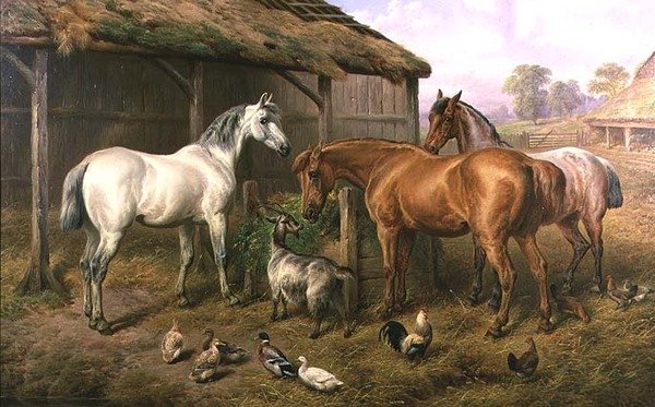 Amigos del Corral de Charles Jones