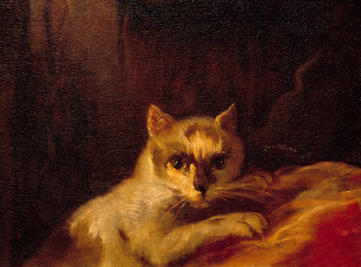 Mademoiselle de Charolais (detalle) de Charles Joseph Natoire