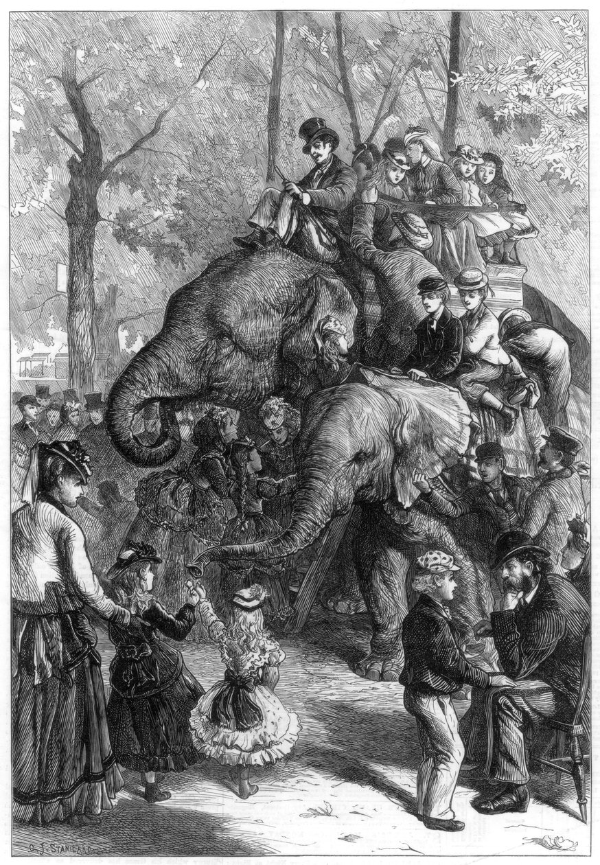 Lunes por la tarde en los jardines de la sociedad zoológica, 1871 de Charles Joseph Staniland
